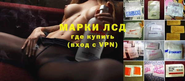 сатива Арсеньев