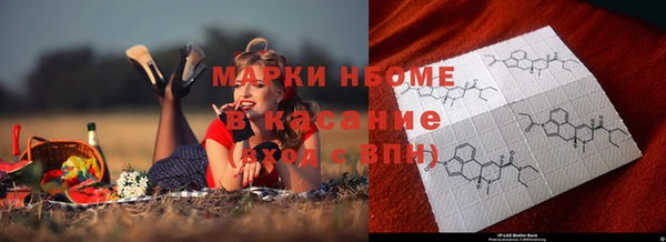 крисы Баксан