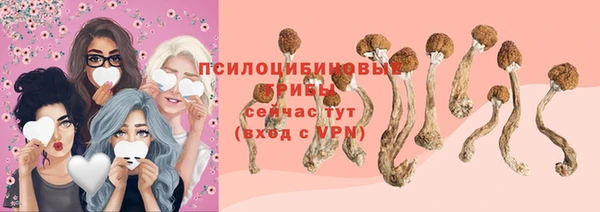 сатива Арсеньев