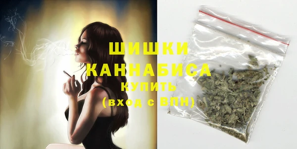 крисы Баксан
