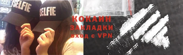 крисы Баксан