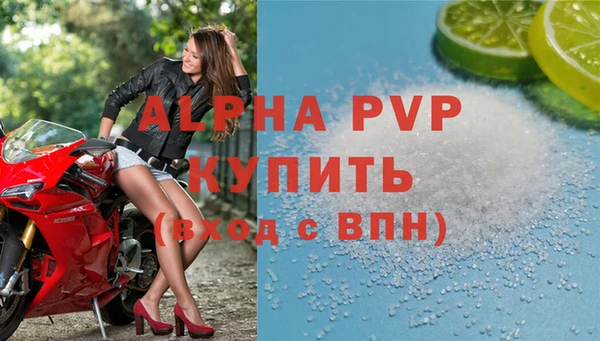 крисы Баксан