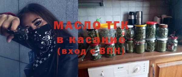 прущие грибы Инта